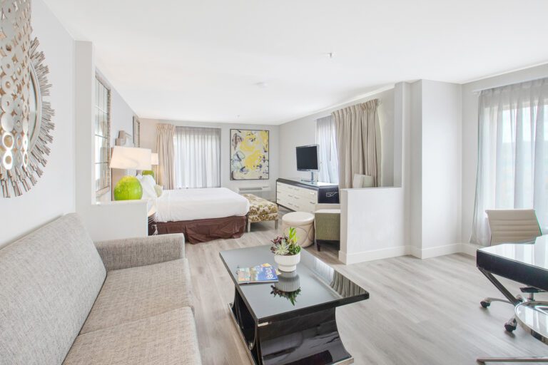 King Studio Suite - Elkotel