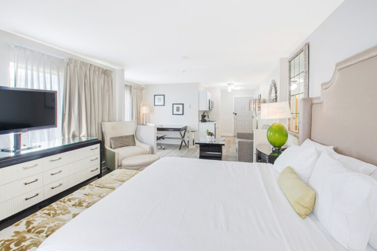 King Studio Suite - Elkotel