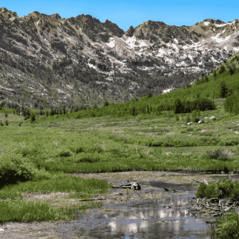 Exploring Lamoille Canyon