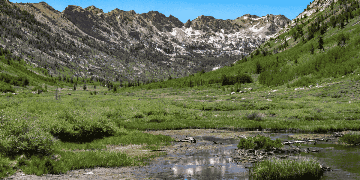 Lamoille Canyon