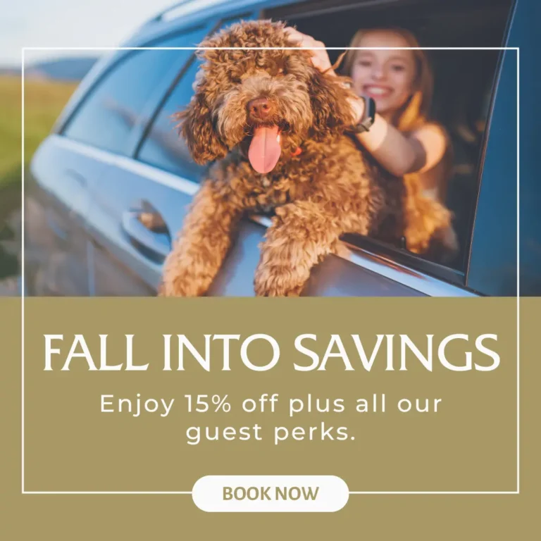 Fall Into Savings Popup