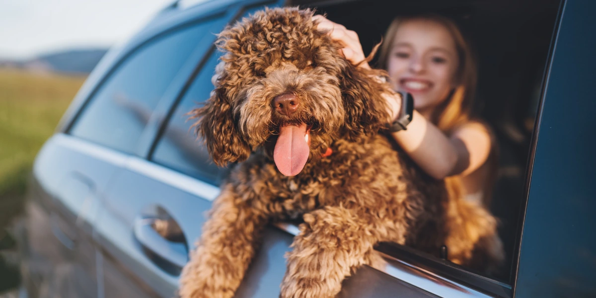 Fall Into Savings at Elkotel