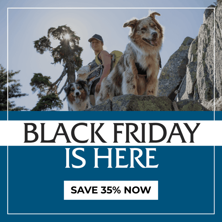 Black Friday 2025 Popup