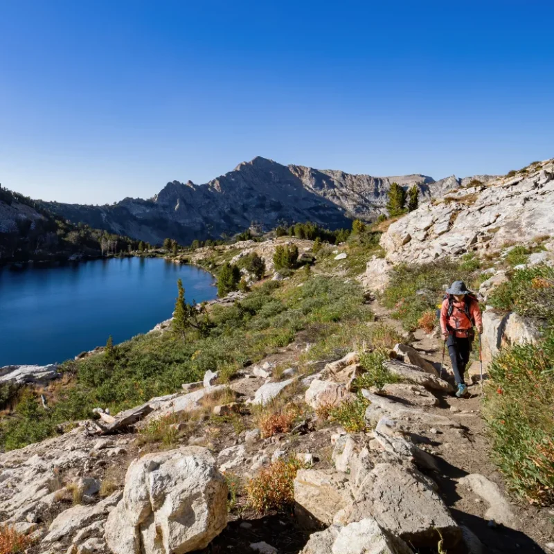 Linger Longer Special