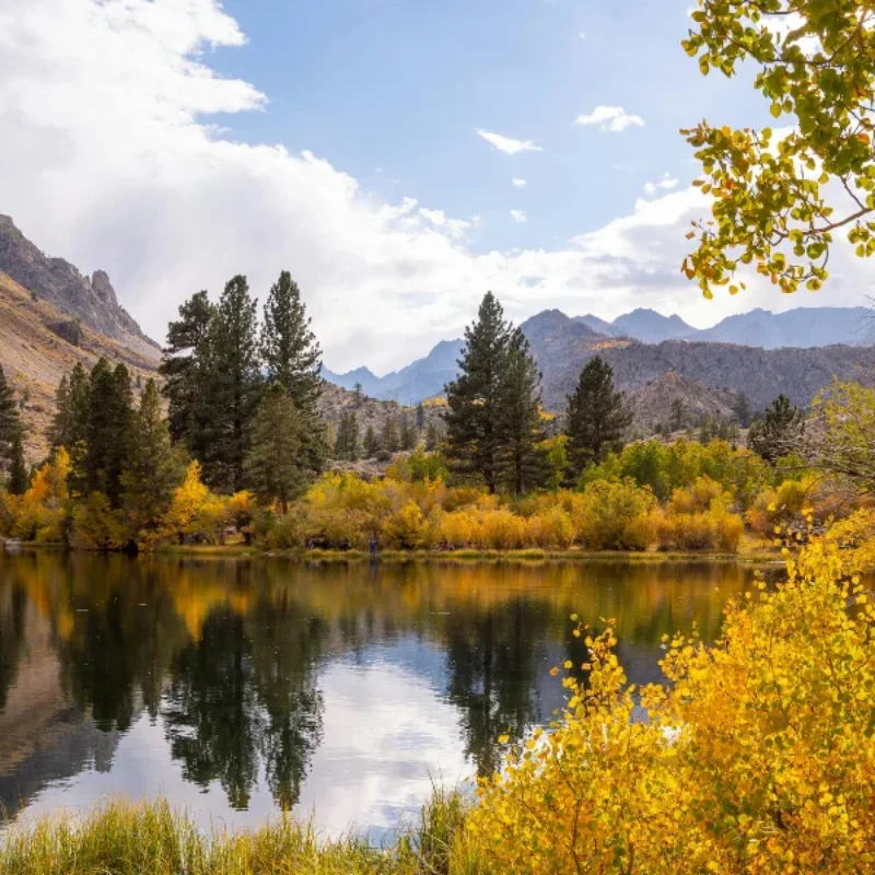Fun Things to Do in Elko Nevada During Your Next Getaway